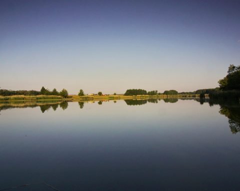 Františkův rybník - vodní hladina při západu slunce